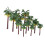 Mini Palm Trees for Crafts Plastic Model Accessories 16 pcs 8