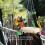 Bréagán Cage Éan Parrot Dearadh Tuí Crochta 1 phíosa 6
