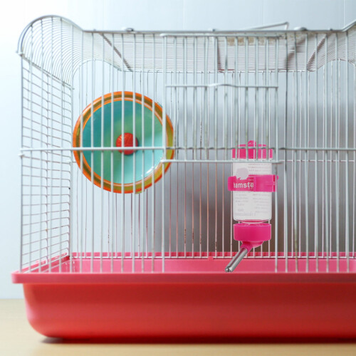 Hängande vattenflaskor för hamster, 6 st 1