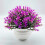 Artificial Potted Plants Plastic Topiary 1 Pack 4