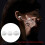 Ακουστικά AirPods Pro από αφρό σιλικόνης με μνήμη 3 ζεύγη 8