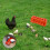 Chicken Feeder 12-Hole 2 Packs 5