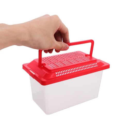 Accessoire pour aquarium en plastique rouge (1 pièce) 1