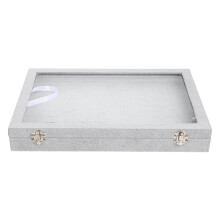 Grey organizer box with clear lid and 100 slots