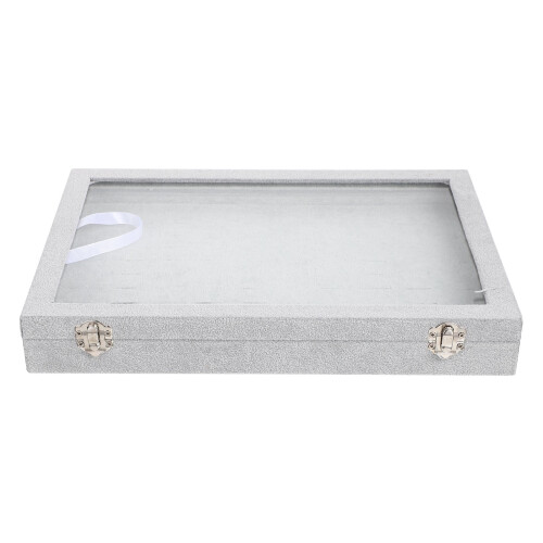 Grey organizer box with clear lid and 100 slots