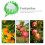Fruktplockarkorg ljusgrön 1-pack 3