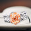 Bague Rose Creuse Ajourée, Plaqué Antique, Taille 6-10 8