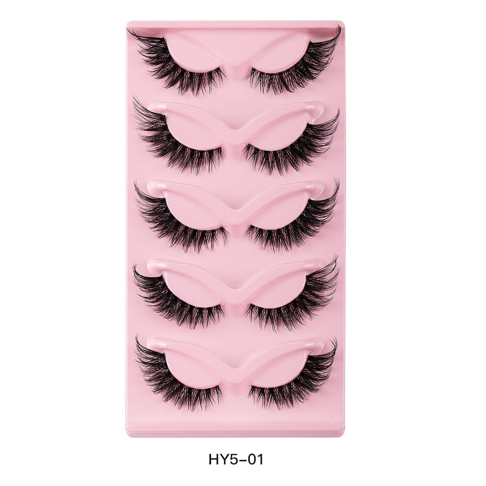 False Eyelashes Natural Look 5 Pairs