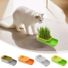 Cat Grass Hydroponic Kit Indoor Non-Toxic 1 Pack