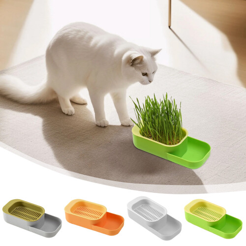 Cat Grass Hydroponic Kit Indoor Non-Toxic 1 Pack