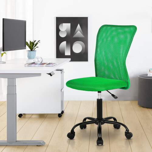 Executive armless office chair with lumbar support, green 1