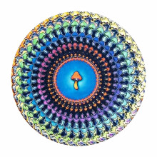 12 Inch Animated Zoetrope Slipmat Vinyl DJ