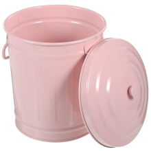 Stilvoller Mülleimer aus Eisen für Schreibtische, 5 Liter