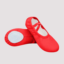 Kids Pointed Dance Shoes for Fitness and Gymnastics