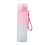 Gourde portable Gradient avec infuseur à thé 800 ml 1