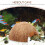 Esconderijo de tronco de tartaruga em casca de coco, 12x12x6,5 polegadas (1 unidade) 3
