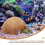 Esconderijo de tronco de tartaruga em casca de coco, 12x12x6,5 polegadas (1 unidade) 8