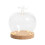Cúpula de cristal Flor Eterna con base, color marrón, para decoración del hogar. 1