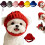 Gele hondenmuts, warme, winddichte, gebreide huisdiermuts, rood 1