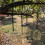 Wrought Iron Birdcage Feeder with Transparent Window 1 pc 6