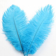Penas de avestruz naturais, azul celeste, 30-35 cm (12-14 polegadas), 1 peça