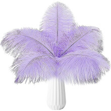 Penas de avestruz lavanda natural, 24 peças, 25-30 cm (10-12 polegadas)