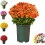 Chrysanthèmes artificiels coucher de soleil Funsdecor avec eucalyptus (1 pièce) 1