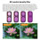 Objektivfilterkit för   Ultra Justerbart ND8+ND16+ND32+ND64 Filter Magnetiskt Objektivfilter 4