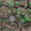 Termómetro de suelo para compostaje de jardín (plateado) 4