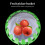 Obstpflückkorb mit Teleskopstange (1 Stück) 3