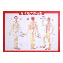 Guasha Wood Stick Tools Therapy Scraping Lymphatic Drainage Massager, Double Row 31 Beads Point Treatment Gua Sha Tools