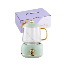 Bouilloire Health Kettle 220 V 360 W à double température, silencieuse et à chauffage uniforme