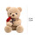 Bear Plush Toy with Rose 9 Inch Brown 7