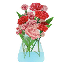 Grußkarten-Set aus Papierblumen