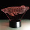 Veilleuse LED 3D Poisson Arowana 7 Couleurs 1