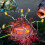 Reverse Bottom Fishing Hook with 360 Bait Cage 6PCS 5