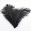 Ostrich Feathers Colorful 30-35cm Decorative Plumes 1