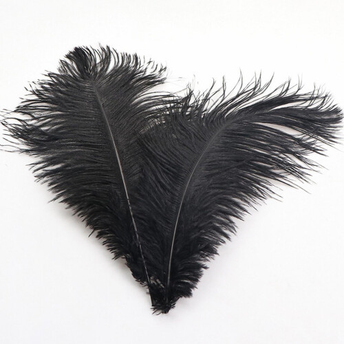 Ostrich Feathers Colorful 30-35cm Decorative Plumes