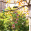 Hummingbird Feeder Wind Chime Garden Decoration 2