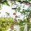 Hummingbird Feeder Wind Chime Waterproof Squirrel Proof 5