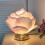 Veilleuse rose USB à intensité variable (1 pièce) 1