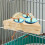 Bird Foraging Feeder Toy with Perch Stand for Sun Conures 6