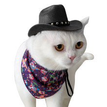 Chapéu de cowboy para cachorro, acessório ideal para brincadeiras de Halloween e Natal.