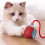 Automatic Cat Toy Ball Electric Rolling Ball 1 Pack 7