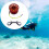 Scuba Diving Reel with Double-Ended Bolt Snap Orange 8