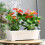 Fönsterbräda Blomkrukasställ med bricka 2 st 43x18x14 cm 3