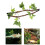 Suction Cup Climbing Vine for Small Pets 1 pc 2