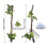 Suction Cup Climbing Vine for Small Pets 1 pc 3