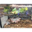 Suction Cup Climbing Vine for Small Pets 1 pc 8