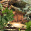 Suction Cup Climbing Vine for Small Pets 1 pc 7